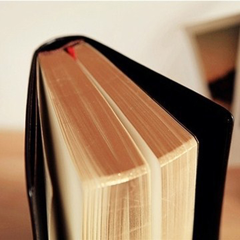 ヴィンテージ厚手の革の聖書のノートブック,空白の日記,レトロ - Leather Work Notepad のレビューと価格